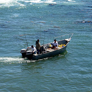 San Felipe panga fishing